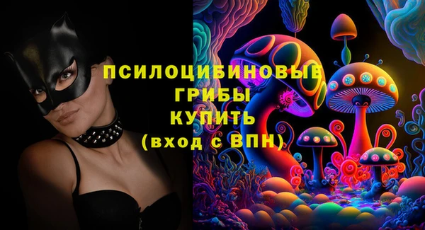 СК Алексин