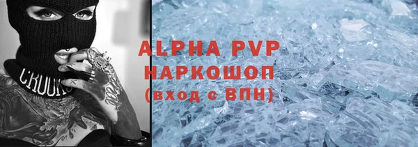 СК Алексин
