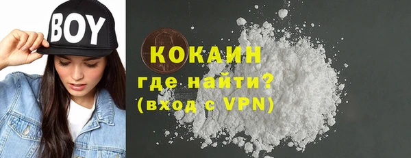 СК Алексин