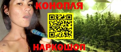 PSILOCYBIN Нальчик