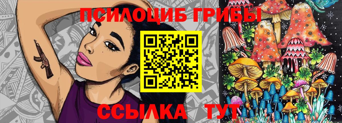 Пенза  Галлюциногенные грибы Magic Shrooms  Вход с VPN 